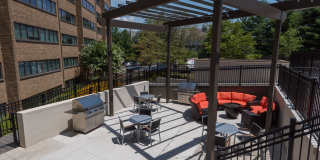 The Mark Alexandria Gallery 21