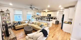 12 Fern Gallery 3