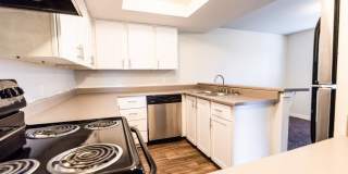 The Lucent Gallery 1