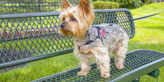 Orchard Hills Apartments Gallery 26