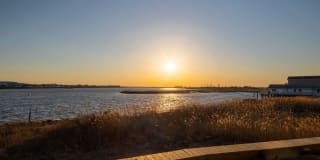 Avalon Harbor Isle Gallery 44