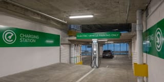 Luminary at One Light Gallery 35