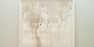 1006 E Cooper Avenue Gallery 53
