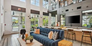 Mira Delray Gallery 3