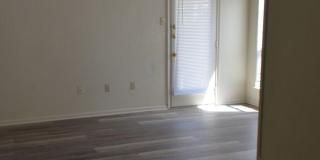 New floors Gallery 11