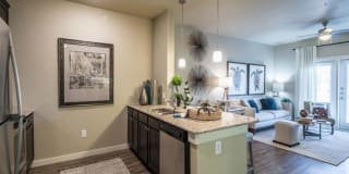 Century Palm Bluff Gallery 39