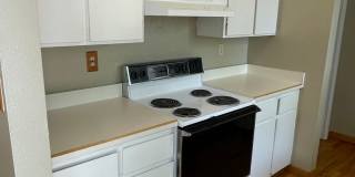 STUDENTS WELCOME! 4 Bed 2 Bath Home in West Ft Collins w/ Garage and Fenced Yard Gallery 11