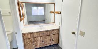 2 Bedroom/2 Bath Home! Has Backyard, One Car Garage, NO HOA! Gallery 16