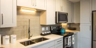 Palmetto Promenade Gallery 3