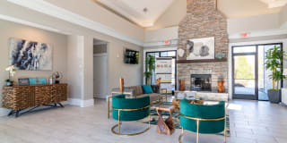 Evergreen Terrace Gallery 25