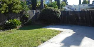 Wonderful 3 Bedroom home with 3 car garage. Gallery 11