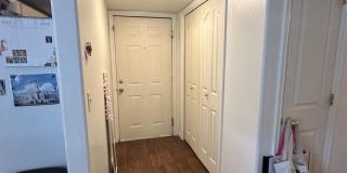 1403 Hemmert Gallery 10