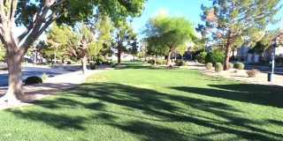 1623 Cave Spring Drive Gallery 21