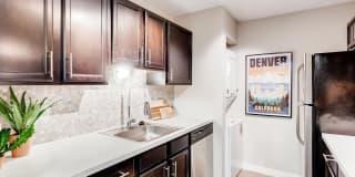 Sage at Panorama Gallery 1