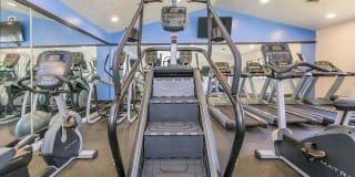 Walden Pond Gallery 7