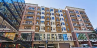 Arrive River Oaks Gallery 41