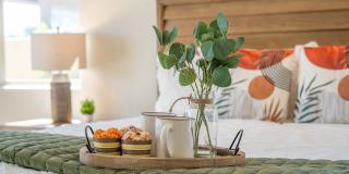 80305 Cedar Crest Gallery 20