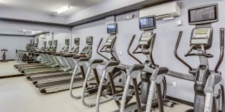 Mark on 8th Gallery 16