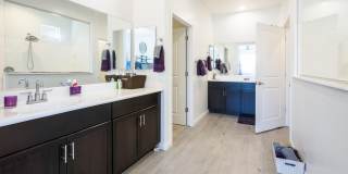 41885 W Celebration Lane Gallery 28