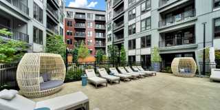 Piper Piper Gallery 16