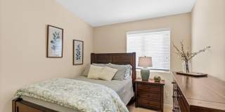 4906 N Sabino Gulch Court Gallery 19