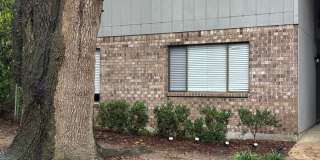 Downstairs 2bed/1ba off Park Ave Downstairs 2bed/1ba off Park Ave Gallery 1