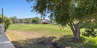 Beautifully Updated Home in Lake Lindero Gallery 40