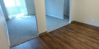 Chelan Gallery 16