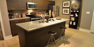ICON Residences at the Rotunda Gallery 18