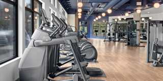 The Bristol At Southport Gallery 4