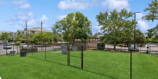 Evergreen at Five Points Gallery 11