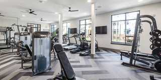 Edition on Oberlin Gallery 12