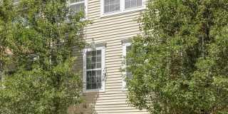 9364 PARAGON WAY Gallery 1