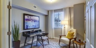 Sofia Coral Gables Gallery 18