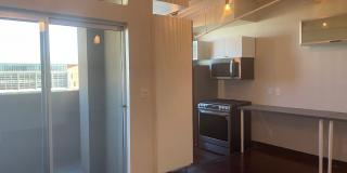 Trendy Loft Living Near The Arts District! Gallery 1