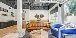 Nuvo Apartments Gallery 20