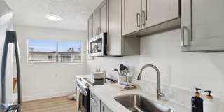 Del Coronado Gallery 3