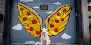 727 West Madison 727 West Madison Gallery 69