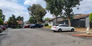 Dove Ridge Gallery 16