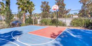 Carmendy Square Townhomes Gallery 12