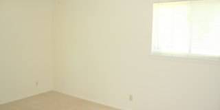 3 BR / 1 BA House off Shoal Creek/Steck! Gallery 6