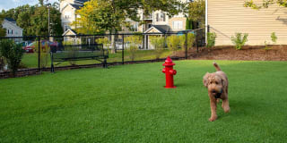 Avalon Acton Gallery 37