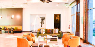 Viva Summerland Gallery 30