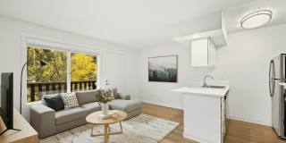 Driftwood Gallery 18