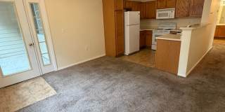 Beautiful 3 Bed, 2 Bath Condo in NW Fort Collins! Gallery 12