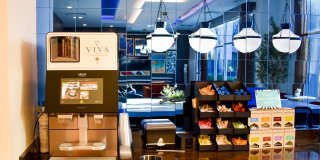 Viva Summerland Gallery 32