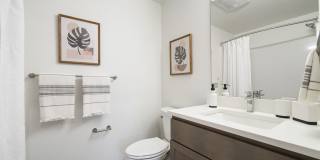 The Oliveen Gallery 50