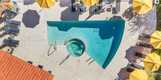 Fountain Palms Gallery 10