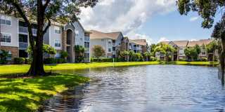 Rocky Creek Apartments Gallery 23