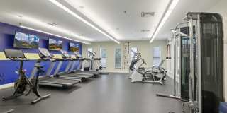 The View at Old City Gallery 24